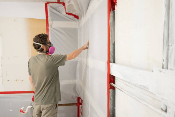 Best Commercial Mold Inspection  in Solvay, NY