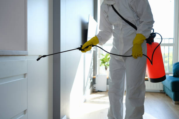 Best Industrial Mold Remediation  in Solvay, NY