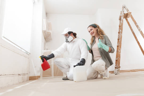 Environmental Consulting for Mold Prevention in Solvay, NY