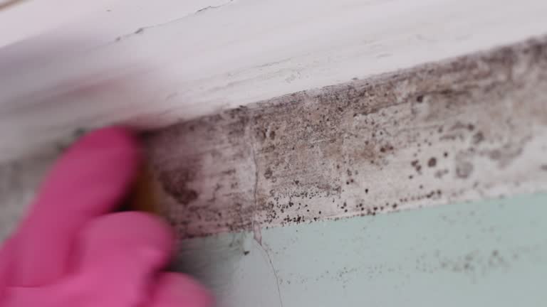 Forensic Mold Investigation in Solvay, NY